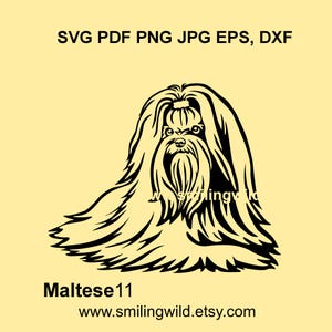 Maltese Dog Vector Art: Show Coat Clipart for Cricut, SVG, PNG, DXF Files