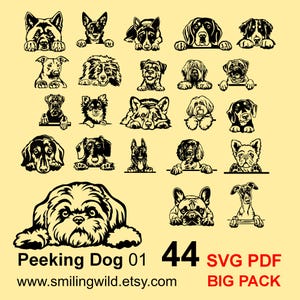 Hund BIG Bundle SVG Clipart Vektorgrafik - Border Collie, Dackel, Deutscher Schäferhund, Beagle, Akita, Frenchie und mehr