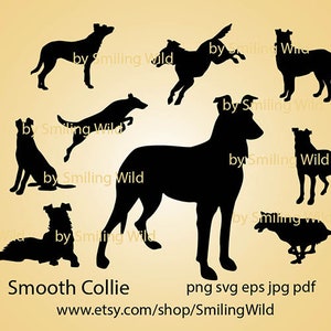 Smooth Collie Dog SVG & PNG silhouette clipart bundle vector graphic art cut file laser and Cricut  cuttable hunting dog digital design