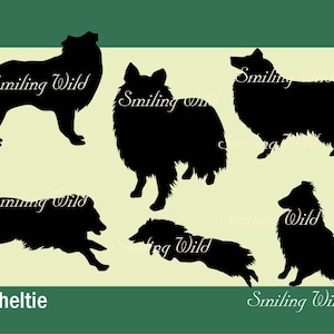 Sheltie dog svg & png silhouette bundle - clipart Shetland sheepdog printable vector graphic art - instant download commercial use digital