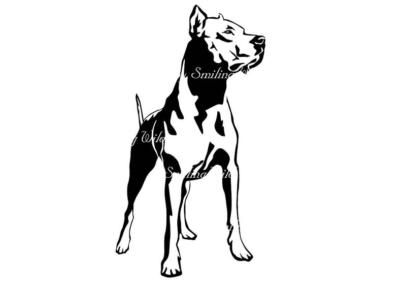 Dogo Argentino svg clipart vector graphic art Dogo Argentino artwork instant download cutout cuttable dog lovers printable gift