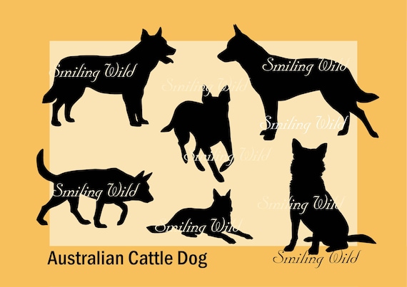 Download Australian Cattle Dog Svg Silhouette Clipart Cutout Australian Etsy PSD Mockup Templates