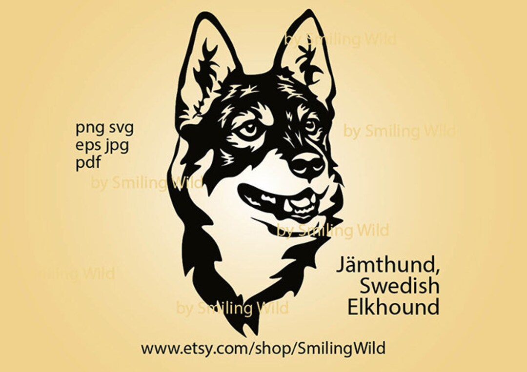 Swedish jamthund 2025