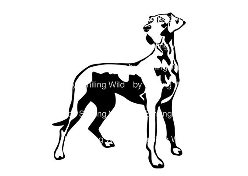 Great Dane Svg Dog Clipart Great Dane Vector Graphic Art | Etsy