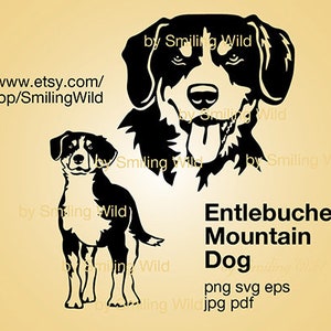 Entlebucher Sennenhund geschnitten Datei Porträt Kopf schneidbar für Cricut druckbare digitale Design Grafik