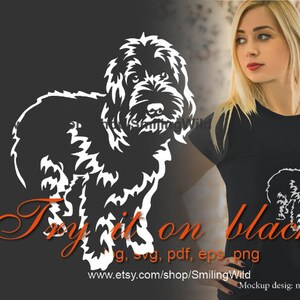 Labradoodle perro raza blanco clip art vector gráfico diseño cortable, labradoodle cricut corte archivo ilustración