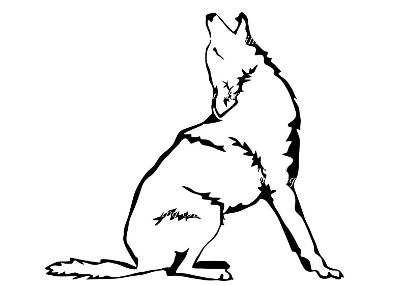 Coyote svg vector graphic art wild animal clipart coyote | Etsy