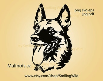 Malinois svg face vector graphic art, k9 dog breed cut file cuttable digital design Malionis clipart cricut