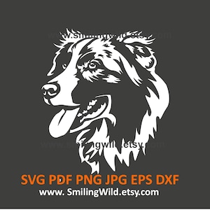 Australian Shepherd svg & png clipart - Aussie Dog white vector Graphic  - Laser and Cricut cuttable Herding Dog DIY digital design