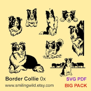 Border Collie BIG Bundle SVG PDF clipart vector graphic files - Head, peeking, running, herding - Cricut, Laser cutting, Instant Download