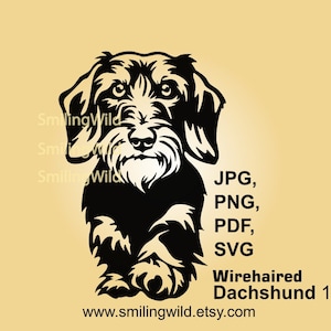 Lopen ruwharige teckel svg clip art vector grafisch ontwerp