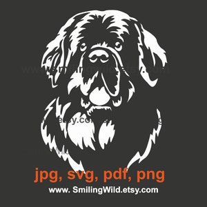 Neufundländer Hund svg & png Clipart - Weißer Hundekopf Porträt Vektorgrafik Digital Design Cut File Cricut und Laser Cutable