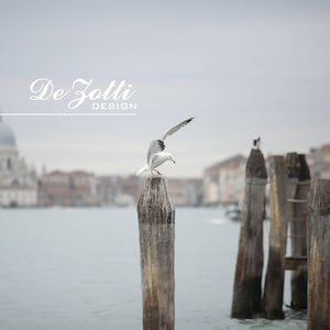 May include: A seagull perched on a wooden post in a harbor with a city skyline in the background. The sky is overcast and the water is calm. The text "De Zotti Design" is visible in the top center of the image.
