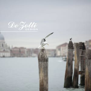 May include: A seagull perched on a wooden post in a harbor with a city skyline in the background. The sky is overcast and the water is calm. The text "De Zotti Design" is visible in the top center of the image.