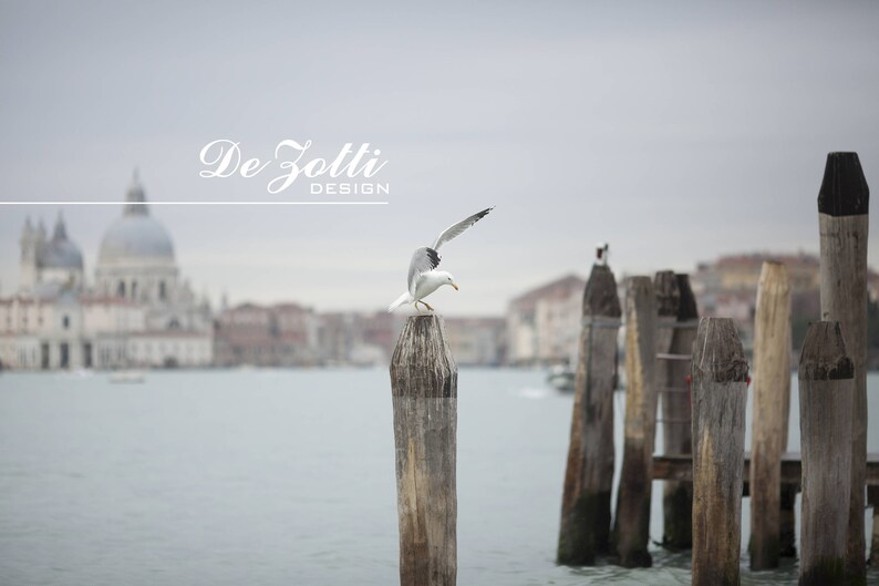 May include: A seagull perched on a wooden post in a harbor with a city skyline in the background. The sky is overcast and the water is calm. The text "De Zotti Design" is visible in the top center of the image.