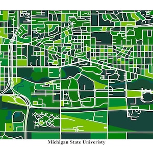Michigan State University Street Grid Print