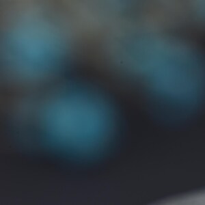 Extra cost image 2