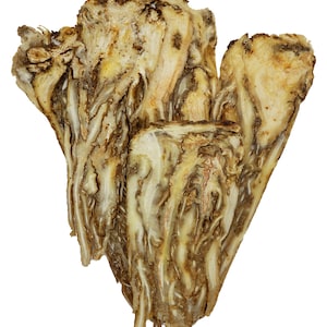 May include: Dried root pieces, light brown with a mottled appearance, arranged in a V-shape. The root pieces are thick and have a rough texture.