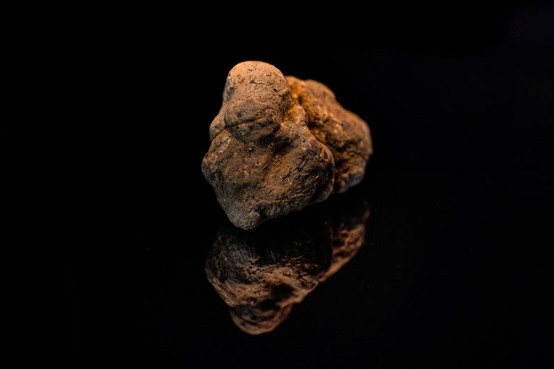 Op de afbeelding: Een donkerbruine truffel met een ruw, onregelmatig oppervlak. De truffel ligt op een zwart oppervlak en wordt weerspiegeld in het oppervlak.