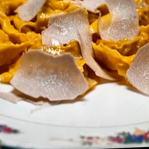 Op de afbeelding: Een close-up van een bord pasta met een romige saus en witte truffel geschaafde.