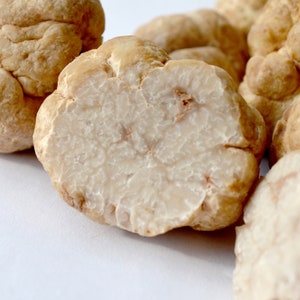 Op de afbeelding: Close-up van verschillende witte truffels, waarvan sommige zijn opengesneden om hun bleke, gemarmerde binnenkant te laten zien. De truffels liggen op een wit oppervlak.