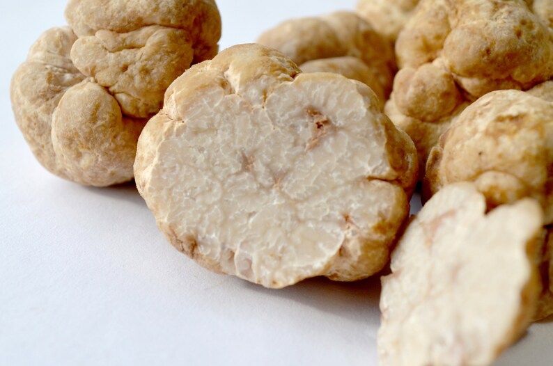Op de afbeelding: Close-up van verschillende witte truffels, waarvan sommige zijn opengesneden om hun bleke, gemarmerde binnenkant te laten zien. De truffels liggen op een wit oppervlak.