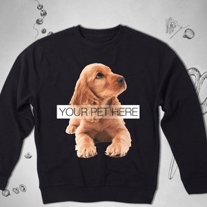 Moletom personalizado para animais de estimação, masculino, feminino, menina, cachorro, gato, animal personalizado, fofo, unissex, moletom gráfico com foto, ideia de presente raglan