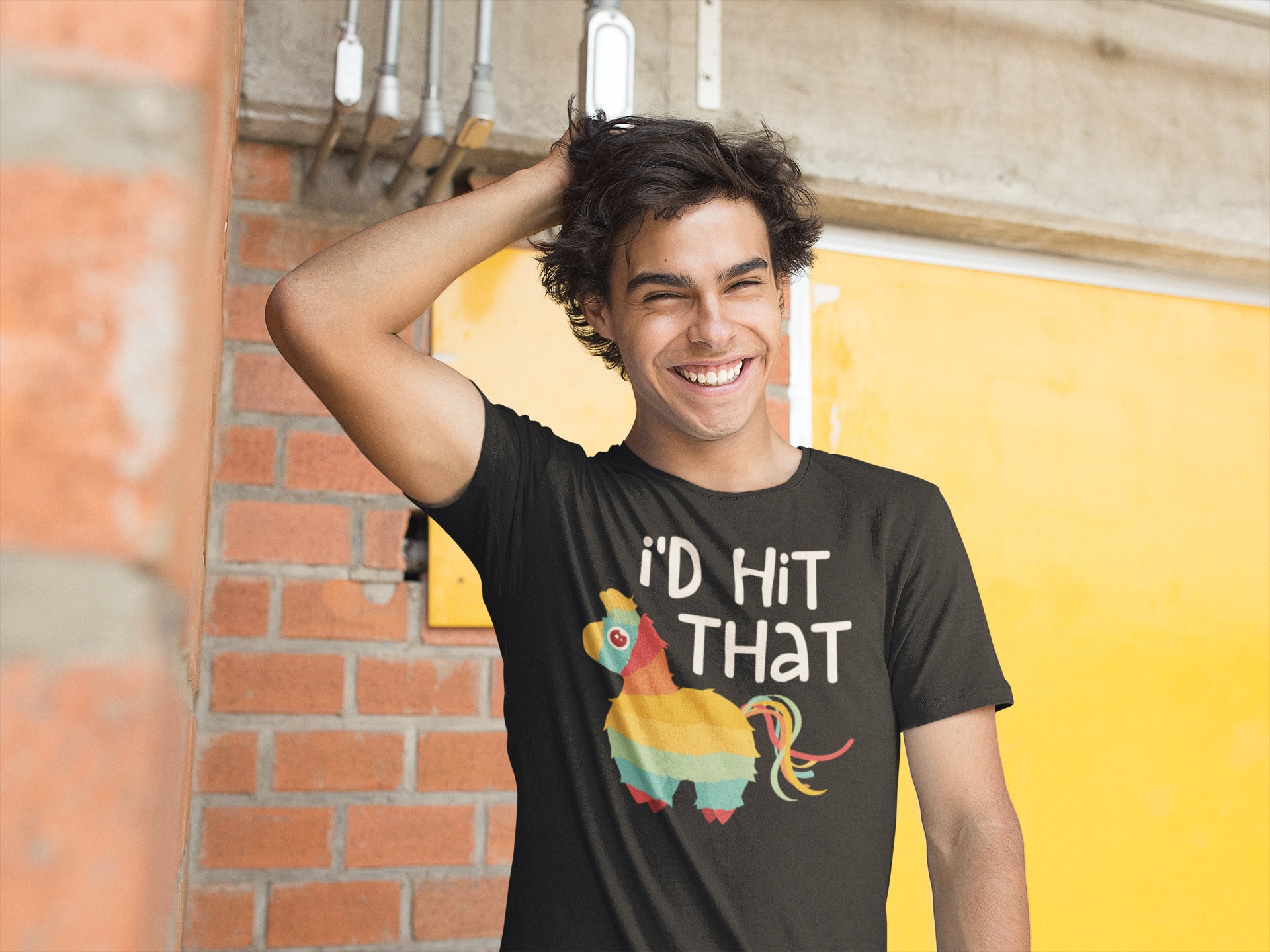 I'd Hit That Pinata T-shirt - Unisex Mens Cinco De Mayo Id