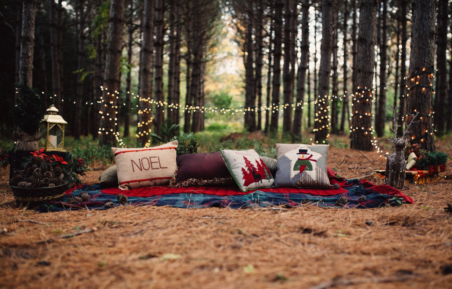 Cozy Outdoor Christmas Themed Digital Backdrop Etsy