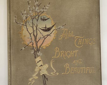 Tutte le cose belle e luminose di Robert Ellice Mack