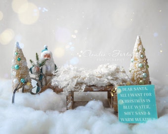 Newborn Digital Backdrop, Christmas Digital Backdrop , DIGITAL BACKDROP/BACKGROUND