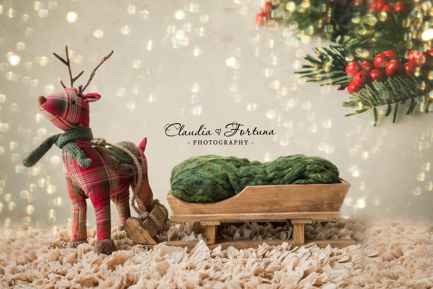Christmas newborn digital backdrop