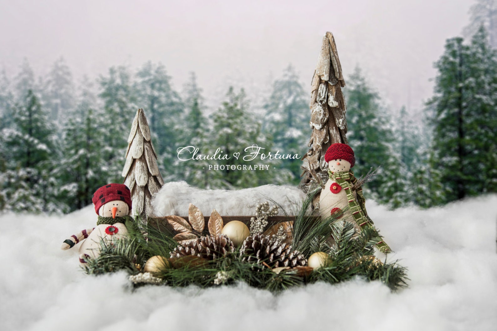 Newborn Digital Backdrop, Christmas Backdrop , DIGITAL BACKDROP