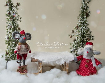 Newborn Digital Backdrop, Christmas Digital Backdrop , DIGITAL BACKDROP/BACKGROUND