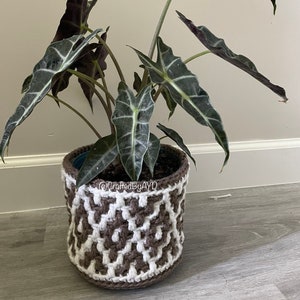 May include: A houseplant with dark green leaves in a brown and white crocheted pot. The pot has a geometric pattern and the text "@CraftedByAYD" is visible on the side.