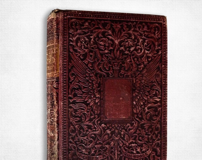Antique Fiction: The Way of the World by David Christie Murray Hardcover Ca. 1890 Frank F. Lovell & Co Hardcover