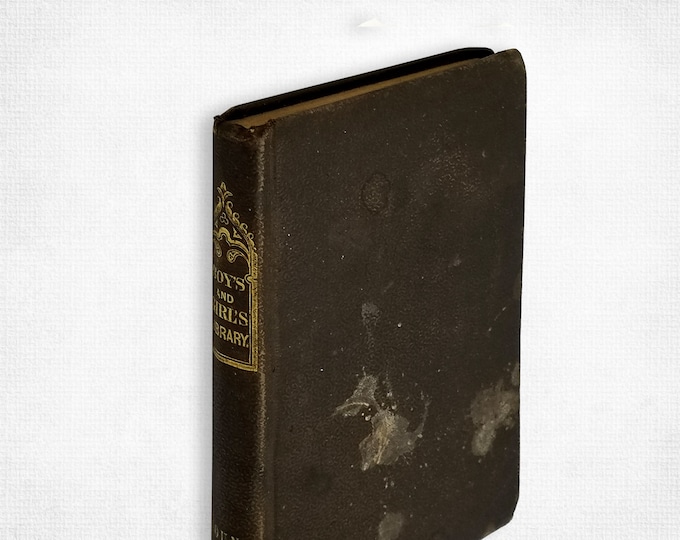 Young Crusoe or the Shipwrecked Boy 1854 Mrs Barbara Hofland ~ Antique ~ Children