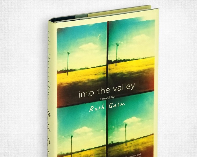 Into the Valley by Ruth Galm SIGNED 1st Edition Hardcover with Dust Jacket 2015 Soho Press