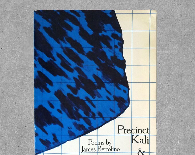 Precinct Kali & Gertrude Spicer Story SIGNED 1981 James Bertolino Poetry ~ First Edition