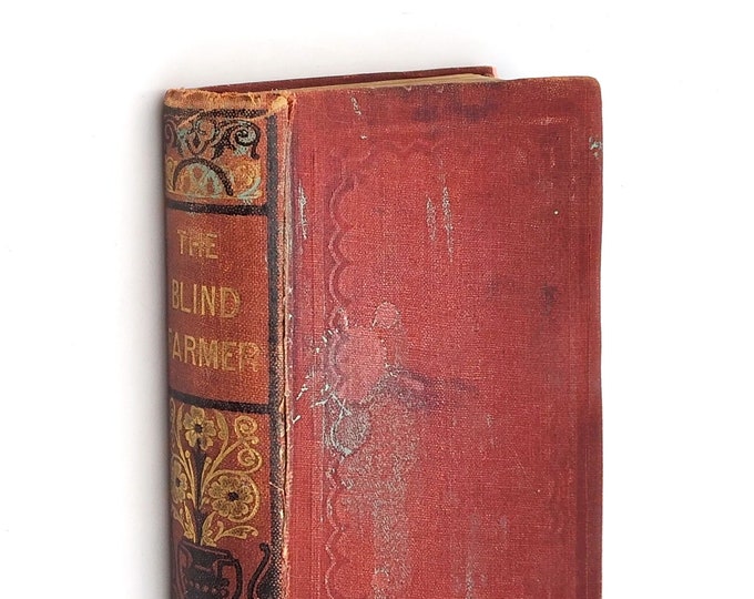 The Blind Farmer and His Children w/ Hamlain The Hermit on the Beach by Mrs. Barbara Hofland ca 1880's antique moral stories