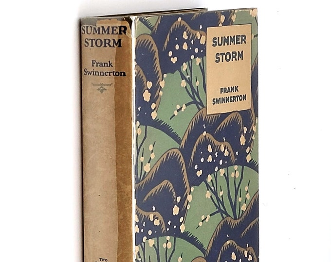 Summer Storm 1926 Frank Swinnerton ~ First Edition ~ Edmund Dulac Jacket illustration