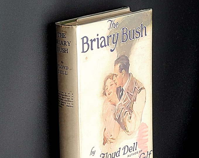 The Briary-Bush: A Novel 1921 Floyd Dell ~ Macaulay Company ~ Romance ~ Chicago Bohemians