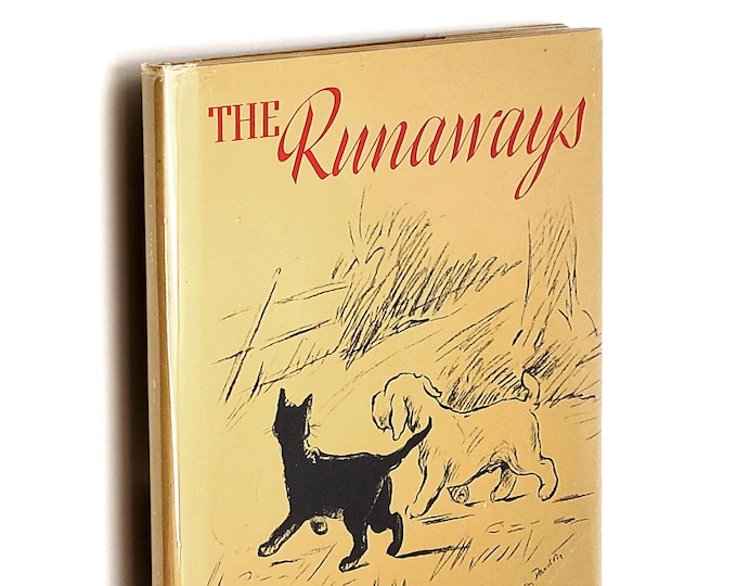 The Runaways 1938 by Lorna Lewis Illustrated by Lucy Dawson ~ Cats and Dogs, Kittens and Puppies ~ vintage children's book