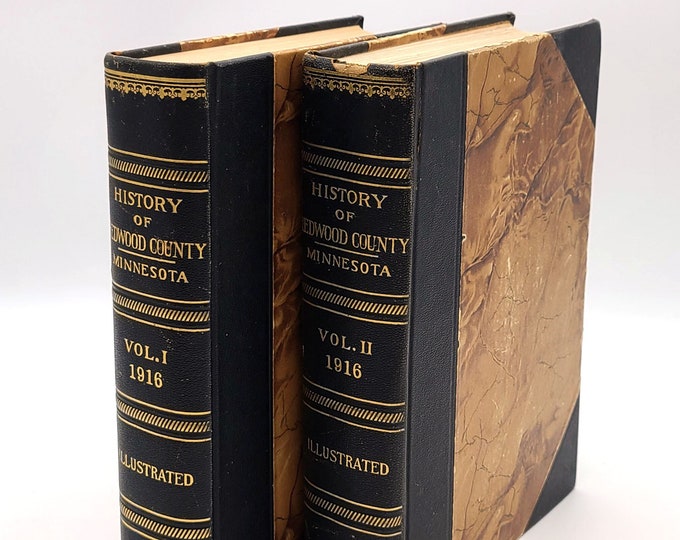 The History of Redwood County, Minnesota Vol. I & II by Franklyn Curtiss-Wedge 1916 ~ Genealogy ~ Pioneers