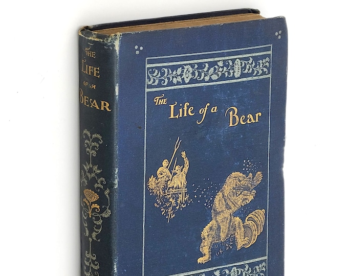 The Life of a Bear 1896 Eardley-Wilmot YA Fiction ~ an Alpine Bear's Adventures in Freedom & Captivity ~ Animal Welfare