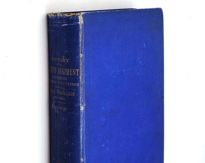 History of the [4th] Fourth Regiment of Minnesota Infantry Volunteers during the Civil War 1892 Alonzo L. Brown ~ Brownton founder