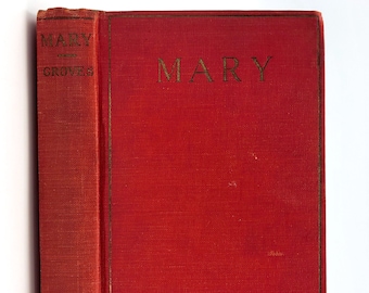 Mary 1929 by Ruth Dewey Groves - New York - Girl - Novel - Fiction