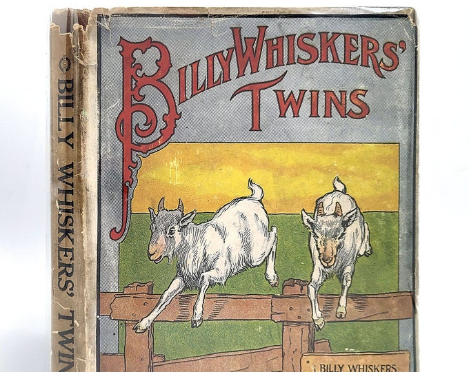 Billy Whiskers' Twins by FRANCES TREGO MONTGOMERY in Dust Jacket 1925 Printing - Children's - Animal Stories