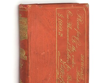 The Wadsworth Boys or Agnes Decision 1872 D.S ERICKSON Thousand Dollar Prize Series ~ YA Fiction
