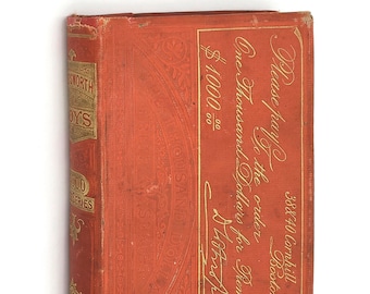 The Wadsworth Boys or Agnes Decision 1872 D.S ERICKSON Thousand Dollar Prize Series ~ YA Fiction